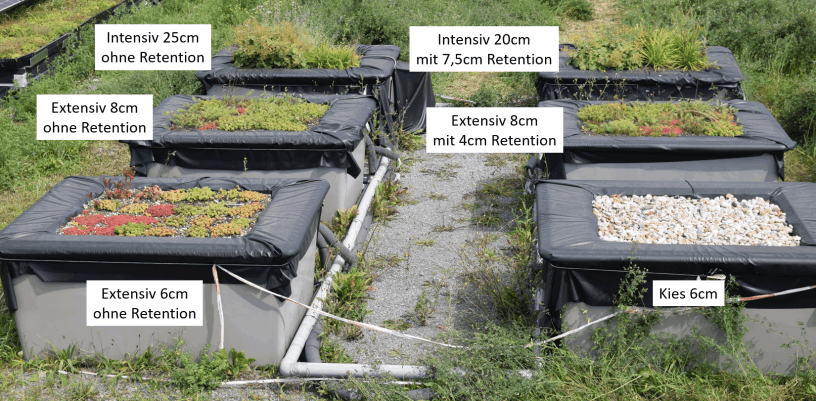 Versuchsfelder zur thermischen Charakterisierung von Dachbegrünungssystemen am CAE in Würzburg.